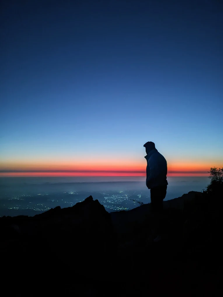 Silhouette at dusk with city lights